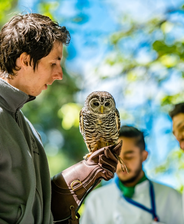 bird-keeping-sustainability-césarritzcolleges-switzerland-crcs