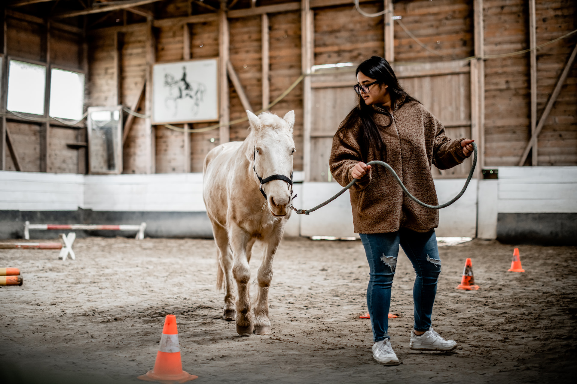 Horses and leadership 