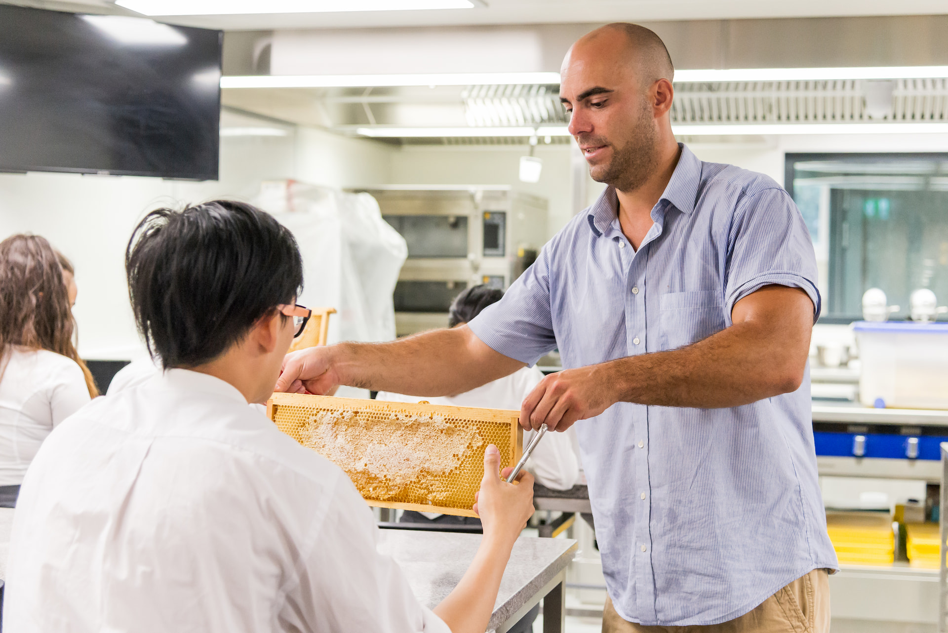 Honey Harvest Workshop